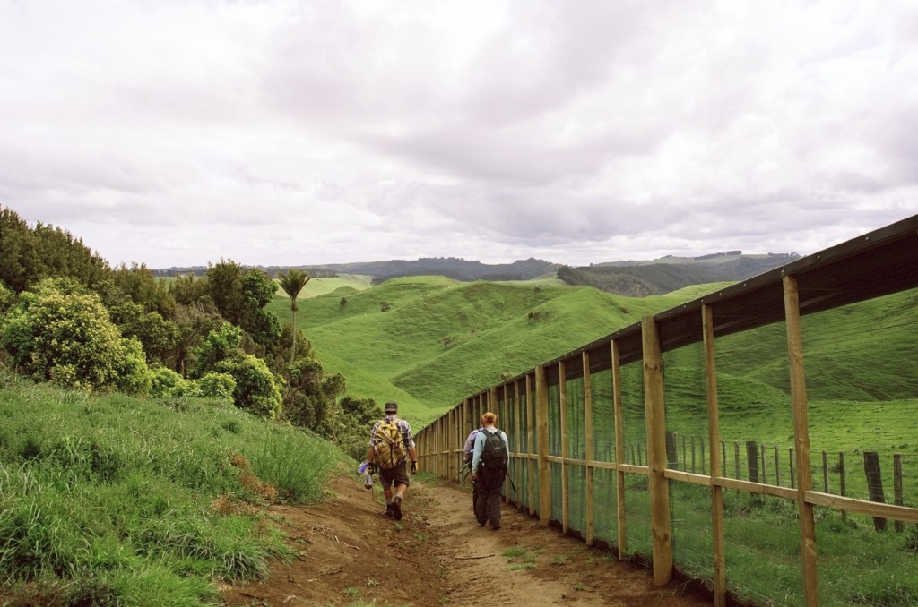 immersive sustainability education